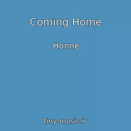 کاور آهنگ Coming Home از Honne