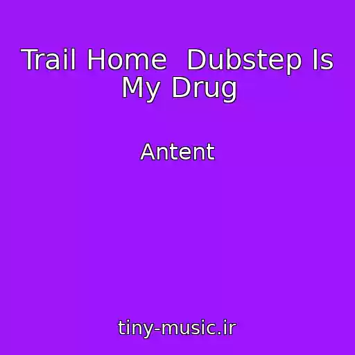 کاور آهنگ Trail Home  Dubstep Is My Drug از Antent