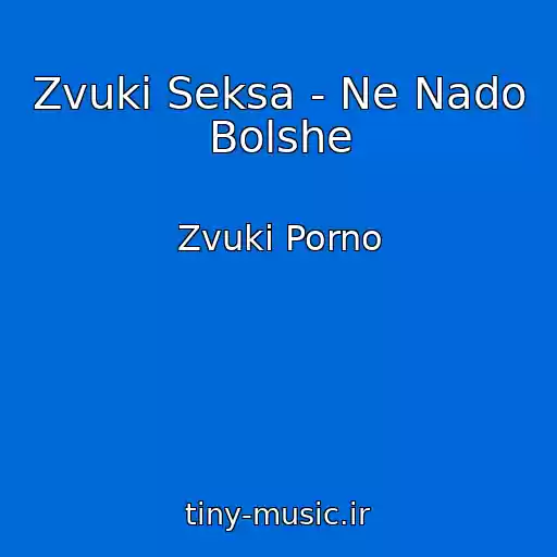 کاور آهنگ Zvuki Seksa - Ne Nado Bolshe از Zvuki Porno