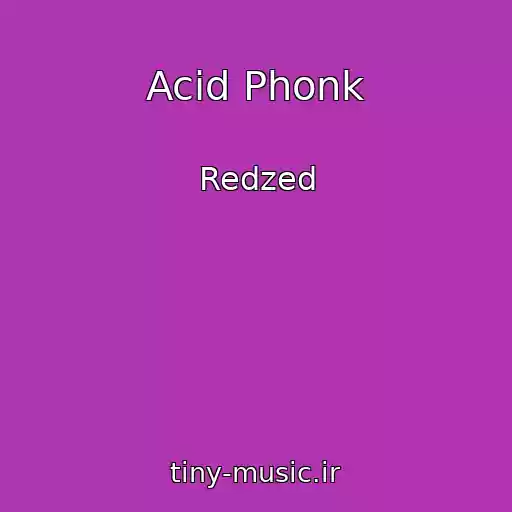 کاور آهنگ Acid Phonk از Redzed