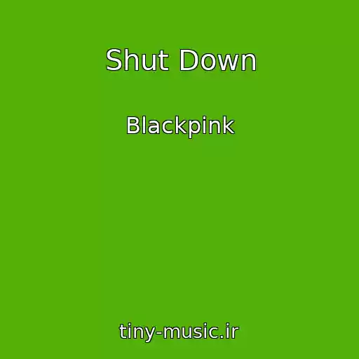 کاور آهنگ Shut Down از Blackpink