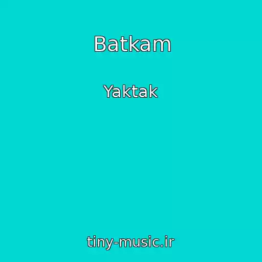 کاور آهنگ Batkam از Yaktak