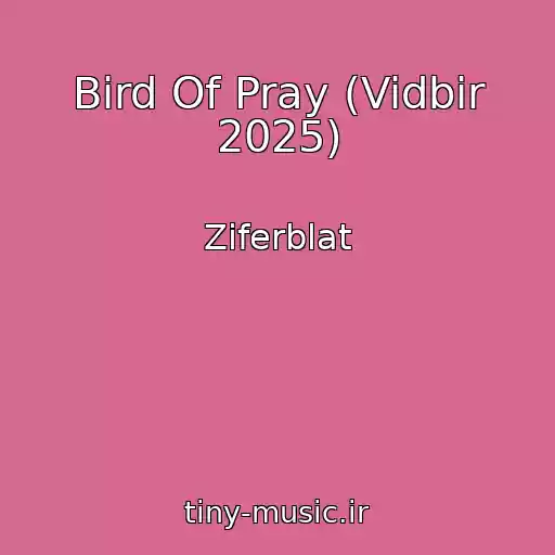 کاور آهنگ Bird Of Pray (Vidbir 2025) از Ziferblat