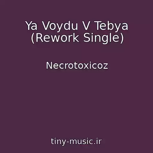 کاور آهنگ Ya Voydu V Tebya (Rework Single) از Necrotoxicoz
