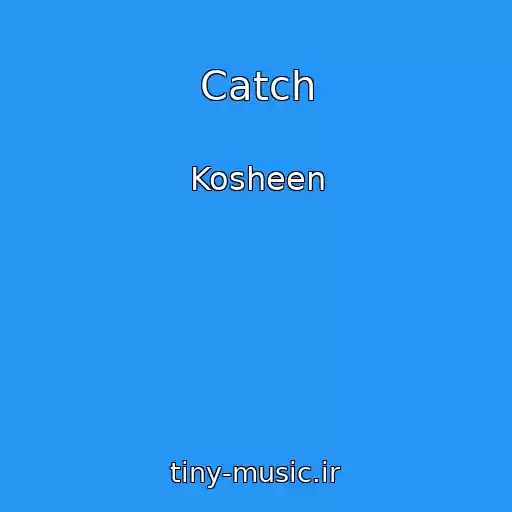 کاور آهنگ Catch از Kosheen