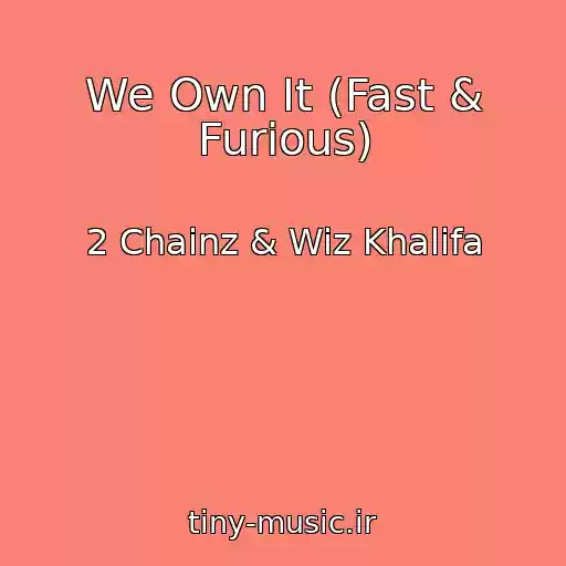 کاور آهنگ We Own It (Fast & Furious) از 2 Chainz & Wiz Khalifa
