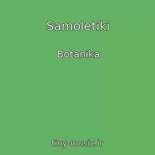 کاور آهنگ Samoletiki از Botanika