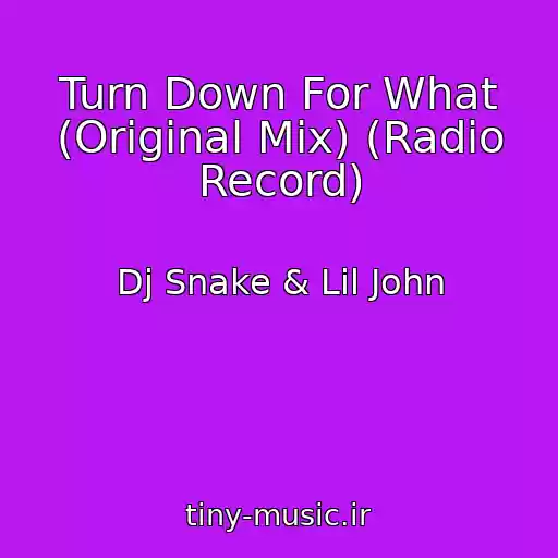 کاور آهنگ Turn Down For What (Original Mix) (Radio Record) از Dj Snake & Lil John