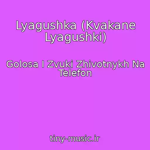 کاور آهنگ Lyagushka (Kvakane Lyagushki) از Golosa I Zvuki Zhivotnykh Na Telefon