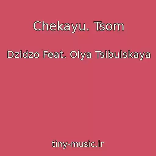 کاور آهنگ Chekayu. Tsom از Dzіdzo Feat. Olya Tsibulskaya