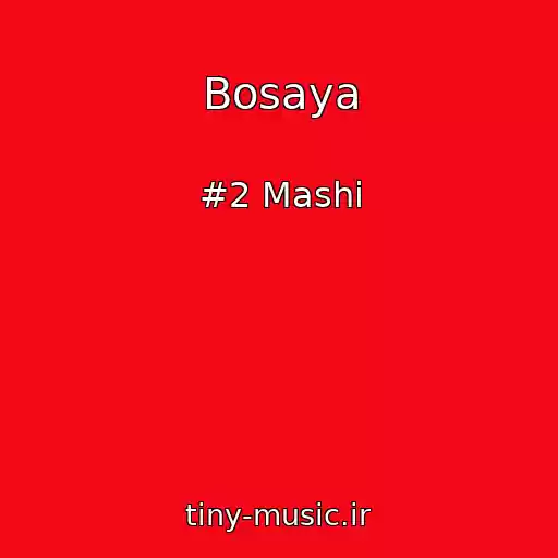 کاور آهنگ Bosaya از #2 Mashi
