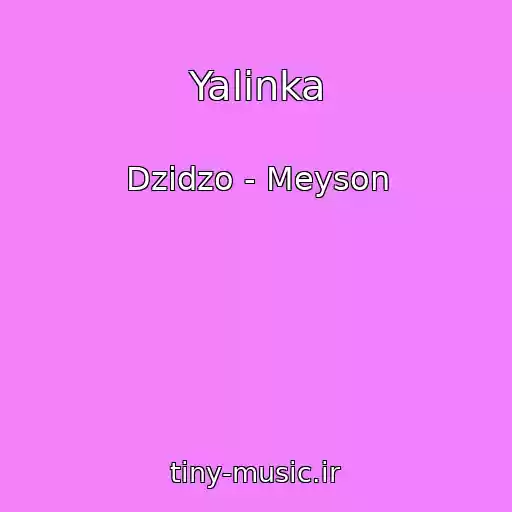 کاور آهنگ Yalinka از Dzіdzo - Meyson