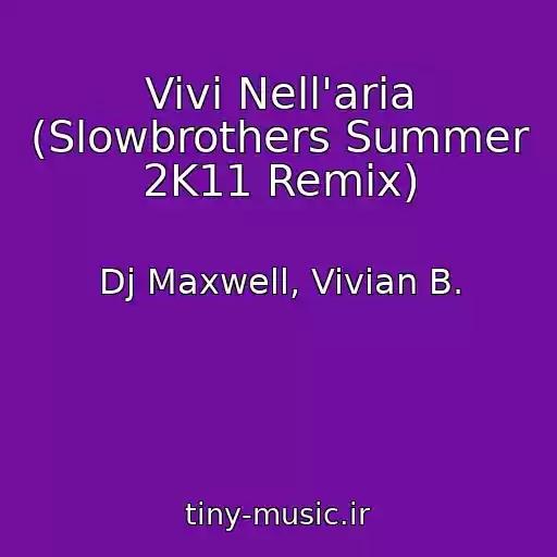 کاور آهنگ Vivi Nell'aria (Slowbrothers Summer 2K11 Remix) از Dj Maxwell, Vivian B.