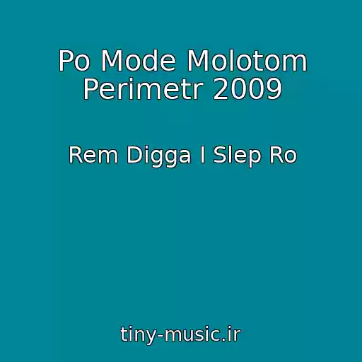 کاور آهنگ Po Mode Molotom Perimetr 2009 از Rem Digga I Slep Ro