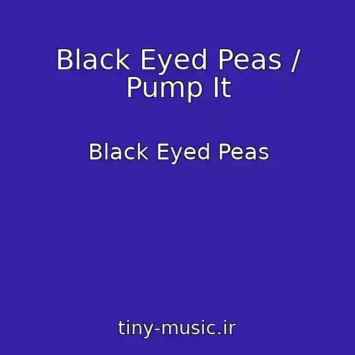 کاور آهنگ Black Eyed Peas / Pump It از Black Eyed Peas