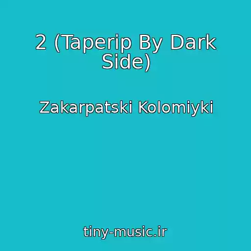 کاور آهنگ 2 (Taperip By Dark Side) از Zakarpatskі Kolomiyki