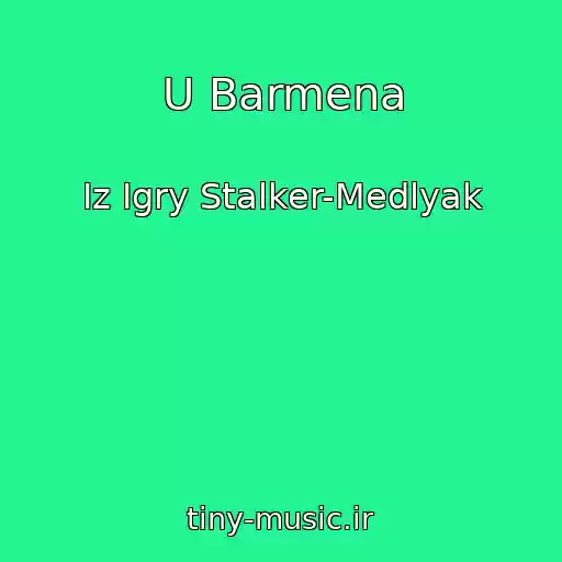 کاور آهنگ U Barmena از Iz Igry Stalker-Medlyak
