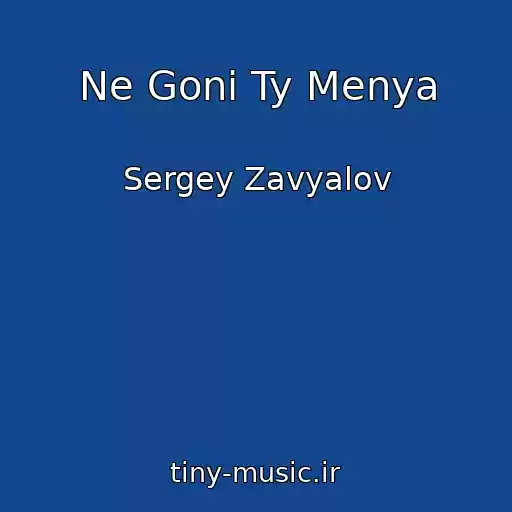 کاور آهنگ Ne Goni Ty Menya از Sergey Zavyalov