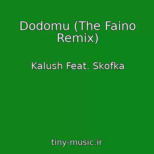 کاور آهنگ Dodomu (The Faino Remix) از Kalush Feat. Skofka