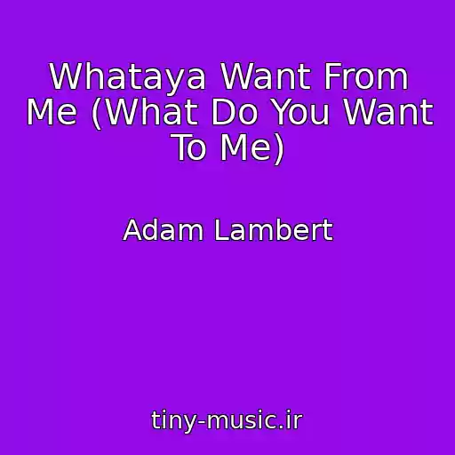 کاور آهنگ Whataya Want From Me (What Do You Want To Me) از Adam Lambert