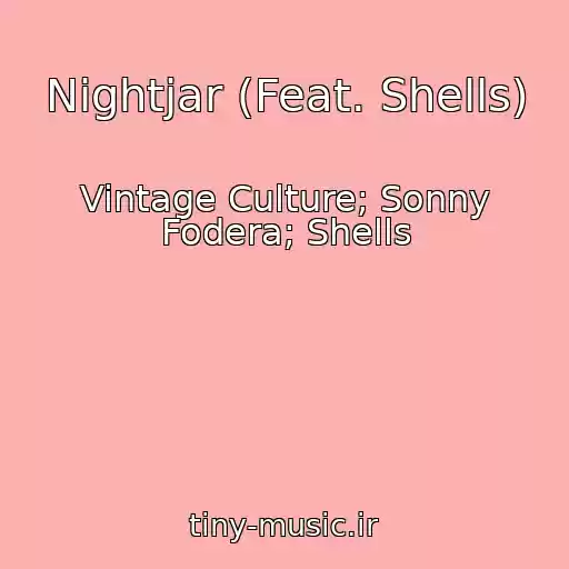 کاور آهنگ Nightjar (Feat. Shells) از Vintage Culture; Sonny Fodera; Shells