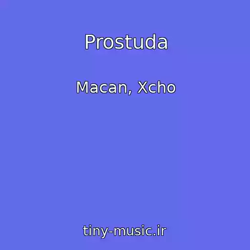 کاور آهنگ Prostuda از Macan, Xcho