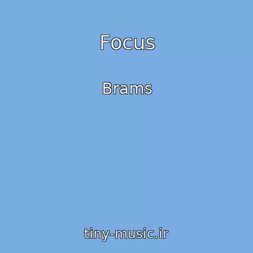 کاور آهنگ Focus از Brams