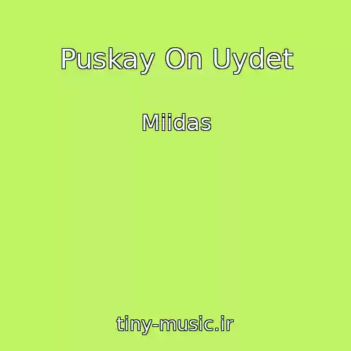 کاور آهنگ Puskay On Uydet از Miidas