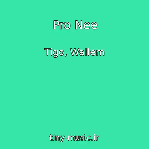 کاور آهنگ Pro Nee از Tigo, Wallem