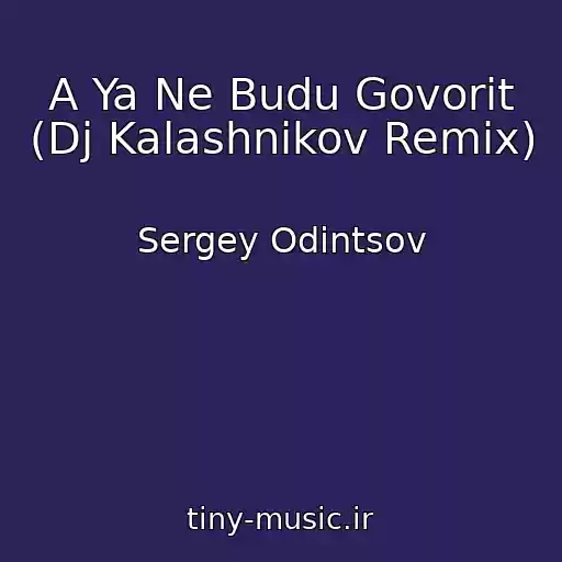 کاور آهنگ A Ya Ne Budu Govorit (Dj Kalashnikov Remix) از Sergey Odintsov