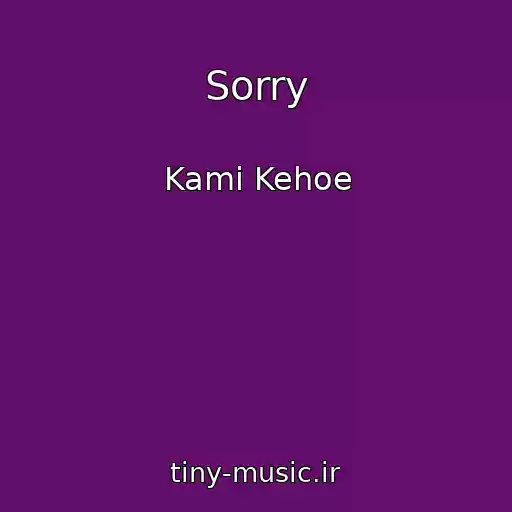 کاور آهنگ Sorry از Kami Kehoe