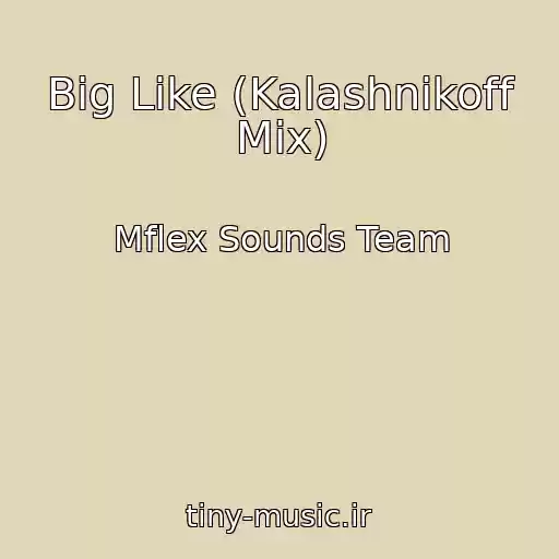 کاور آهنگ Big Like (Kalashnikoff Mix) از Mflex Sounds Team