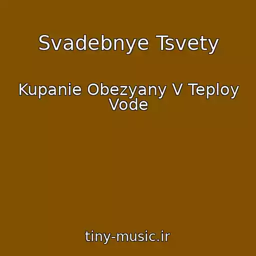 کاور آهنگ Svadebnye Tsvety از Kupanie Obezyany V Teploy Vode