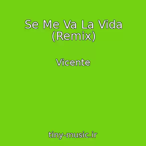 کاور آهنگ Se Me Va La Vida (Remix) از Vicente
