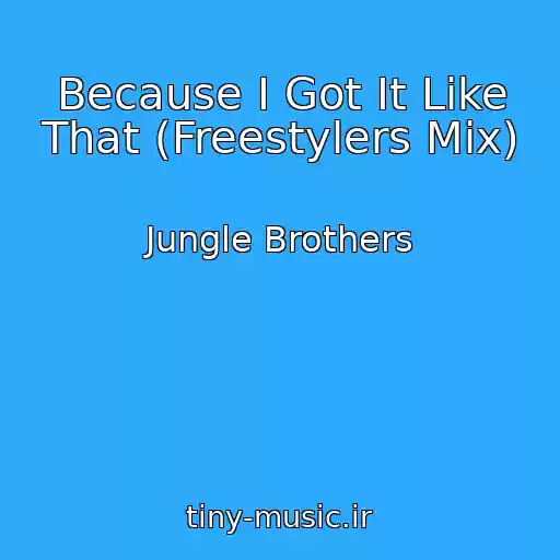 کاور آهنگ Because I Got It Like That (Freestylers Mix) از Jungle Brothers