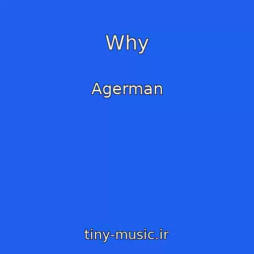 کاور آهنگ Why از Agerman