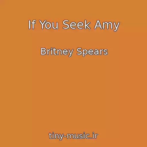 کاور آهنگ If You Seek Amy از Britney Spears