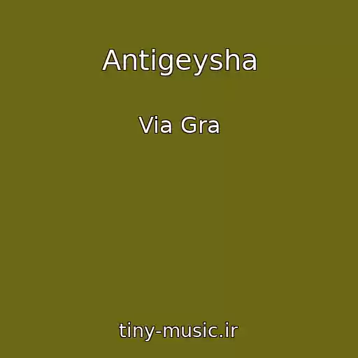 کاور آهنگ Antigeysha از Via Gra
