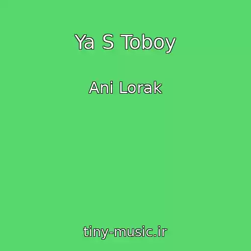 کاور آهنگ Ya S Toboy از Ani Lorak
