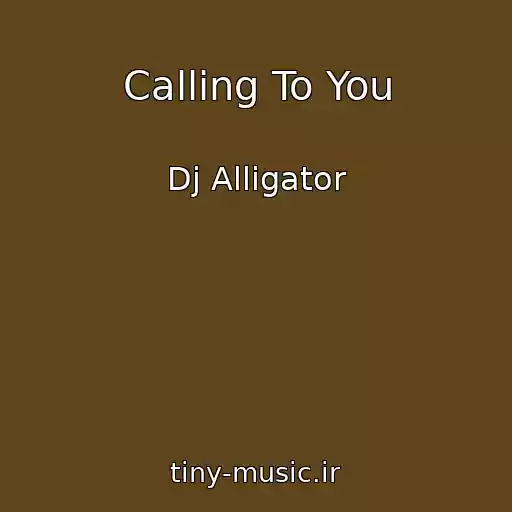 کاور آهنگ Calling To You از Dj Alligator