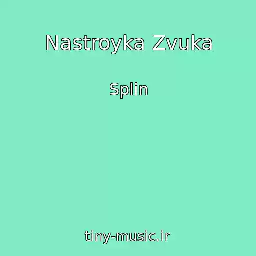 کاور آهنگ Nastroyka Zvuka از Splin