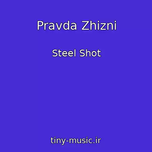 کاور آهنگ Pravda Zhizni از Steel Shot