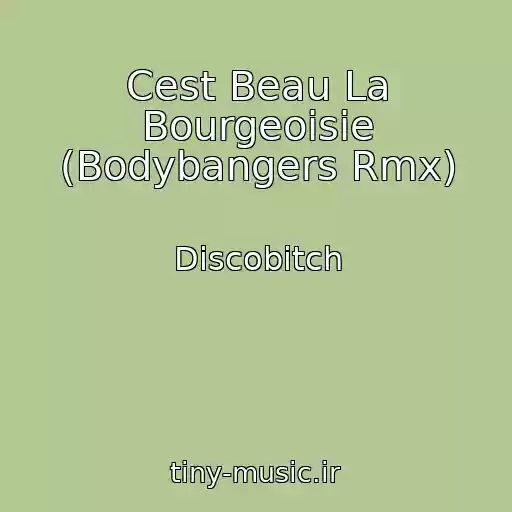 کاور آهنگ Cest Beau La Bourgeoisie (Bodybangers Rmx) از Discobitch