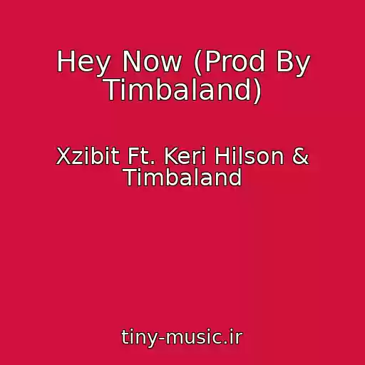 کاور آهنگ Hey Now (Prod By Timbaland) از Xzibit Ft. Keri Hilson & Timbaland