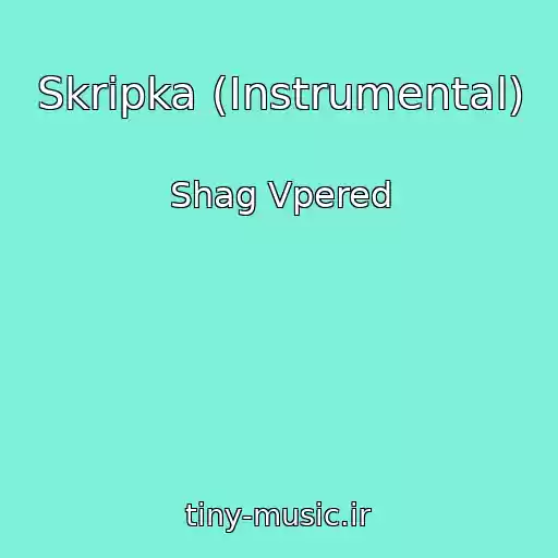 کاور آهنگ Skripka (Instrumental) از Shag Vpered
