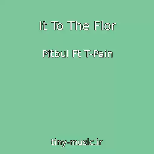 کاور آهنگ It To The Flor از Pitbul Ft T-Pain