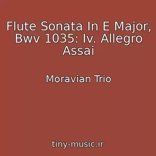 کاور آهنگ Flute Sonata In E Major, Bwv 1035: Iv. Allegro Assai از Moravian Trio