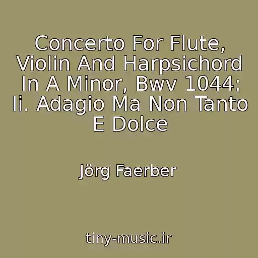 کاور آهنگ Concerto For Flute, Violin And Harpsichord In A Minor, Bwv 1044: Ii. Adagio Ma Non Tanto E Dolce از Jörg Faerber