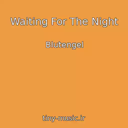 کاور آهنگ Waiting For The Night از Blutengel