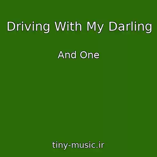 کاور آهنگ Driving With My Darling از And One